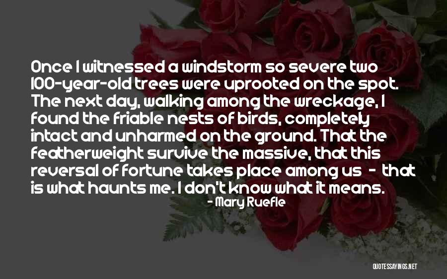 Prateleiras Metalicas Quotes By Mary Ruefle Prateleiras Metalicas Quotes By Mary Ruefle