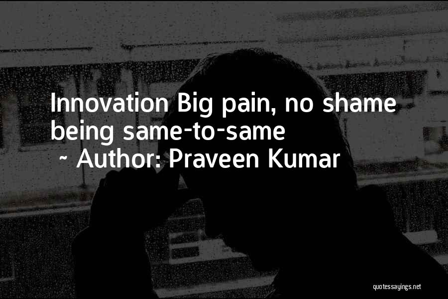 Praveen Quotes By Praveen Kumar