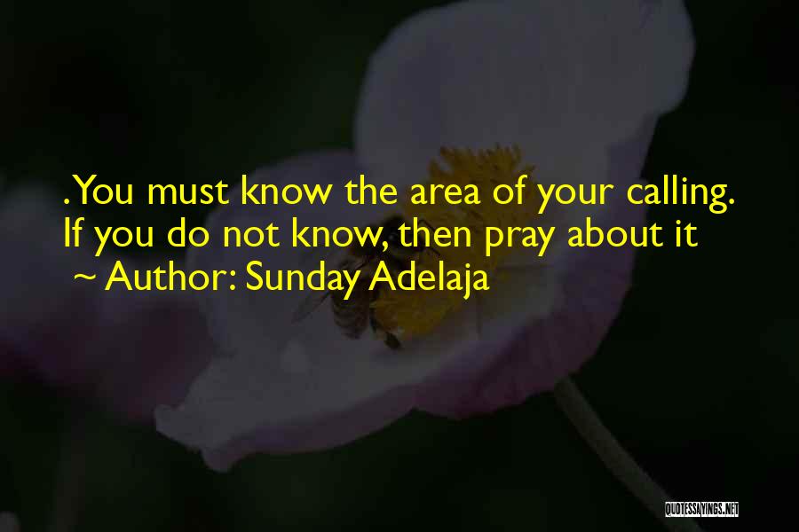 Pray About It Quotes By Sunday Adelaja