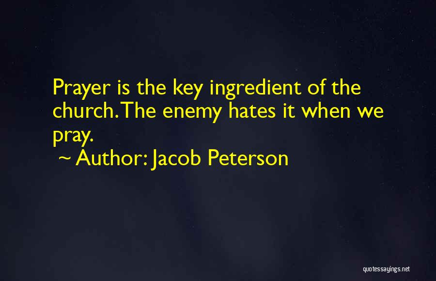 Pray For Enemy Quotes By Jacob Peterson