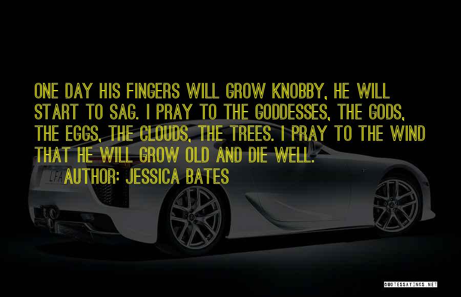 Pray For My Death Quotes By Jessica Bates