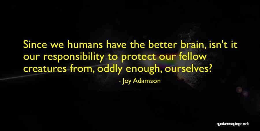 Pray For Paris France Quotes By Joy Adamson