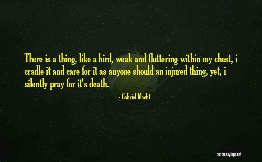 Pray For Quotes By Gabriel Macht Pray For Quotes By Gabriel Macht