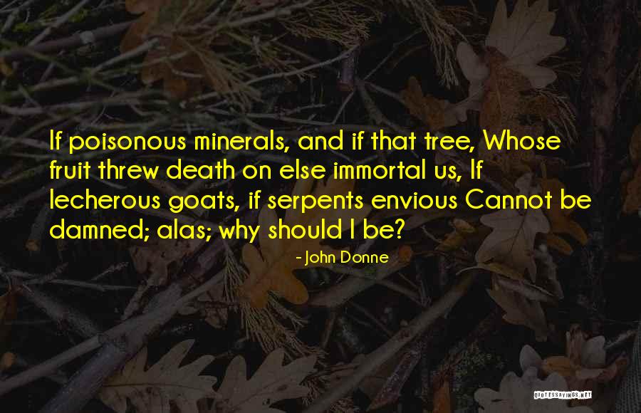 Pray Silently Quotes By John Donne Pray Silently Quotes By John Donne