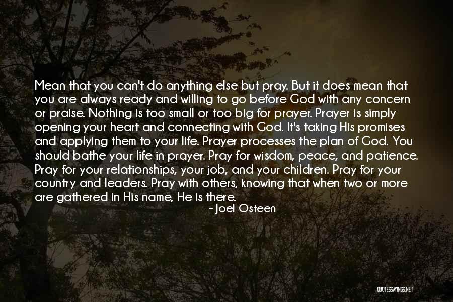 Prayer And Patience Quotes By Joel Osteen