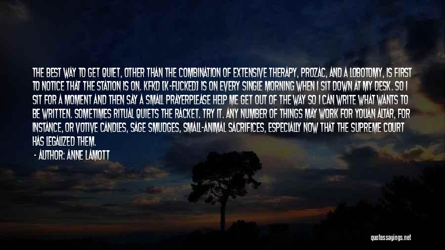 Prayer And Work Quotes By Anne Lamott