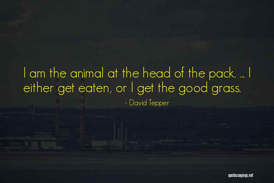 Prayers For Puerto Rico Quotes By David Tepper Prayers For Puerto Rico Quotes By David Tepper