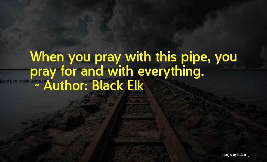 Praying Everything Will Okay Quotes By Black Elk