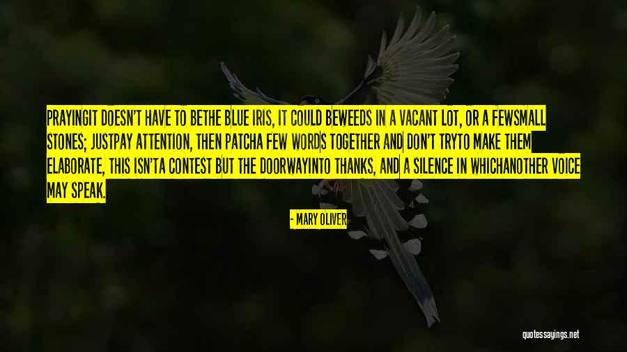Praying In Silence Quotes By Mary Oliver Praying In Silence Quotes By Mary Oliver