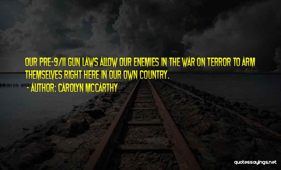 Pre-civil War Quotes By Carolyn McCarthy