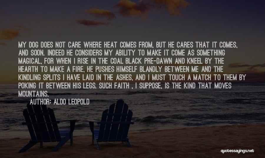 Pre Match Quotes By Aldo Leopold
