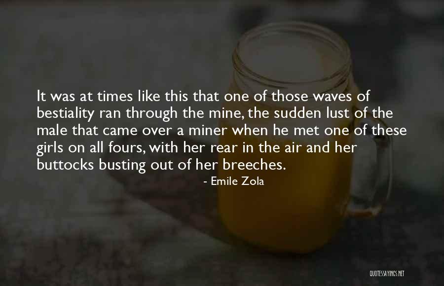 Pre Measured Sugar Dispenser Quotes By Emile Zola Pre Measured Sugar Dispenser Quotes By Emile Zola