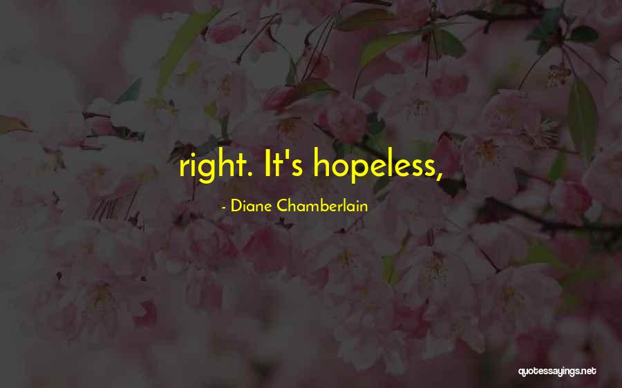 Pre Motherhood Quotes By Diane Chamberlain