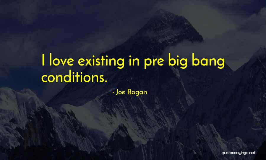 Pre-raphaelite Love Quotes By Joe Rogan