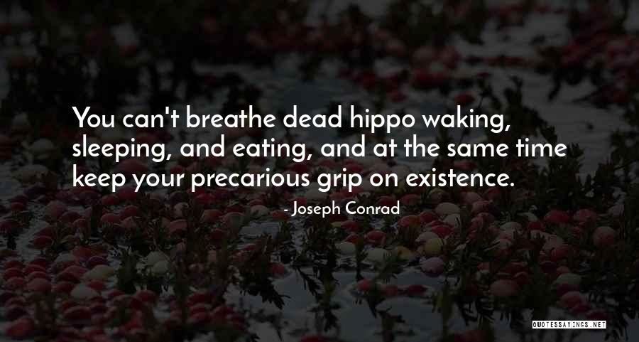 Precarious Quotes By Joseph Conrad Precarious Quotes By Joseph Conrad