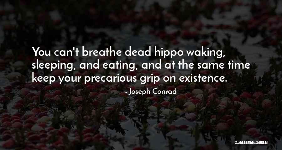 Precarious Quotes By Joseph Conrad