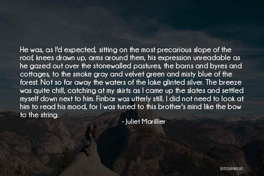 Precarious Quotes By Juliet Marillier Precarious Quotes By Juliet Marillier