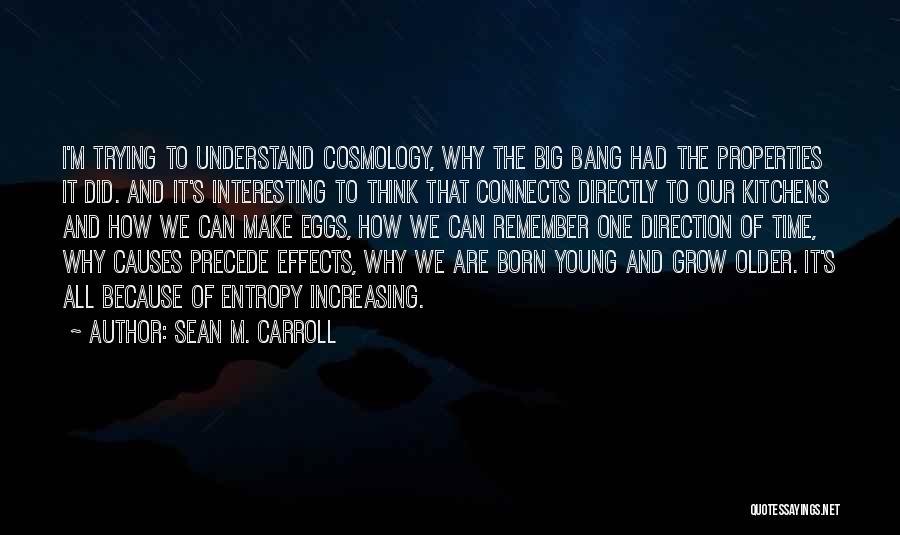 Precede Quotes By Sean M. Carroll