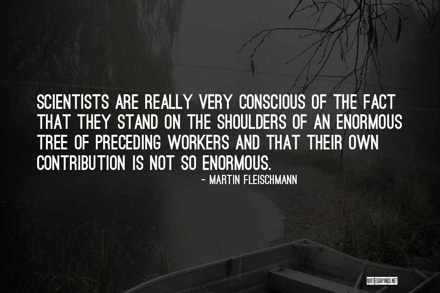 Preceding Quotes By Martin Fleischmann Preceding Quotes By Martin Fleischmann