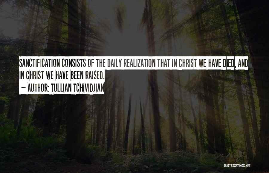 Precepting Quotes By Tullian Tchividjian