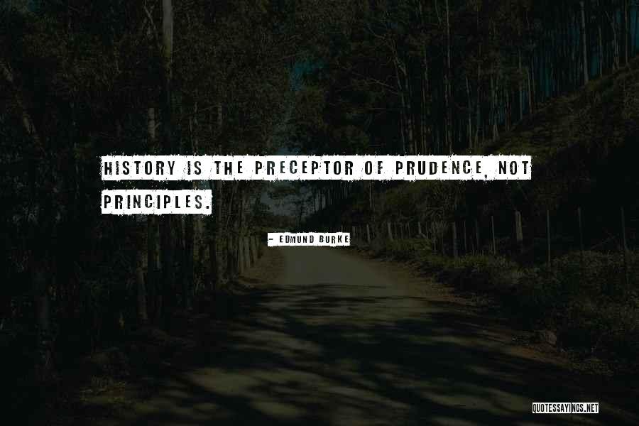 Preceptor Quotes By Edmund Burke Preceptor Quotes By Edmund Burke