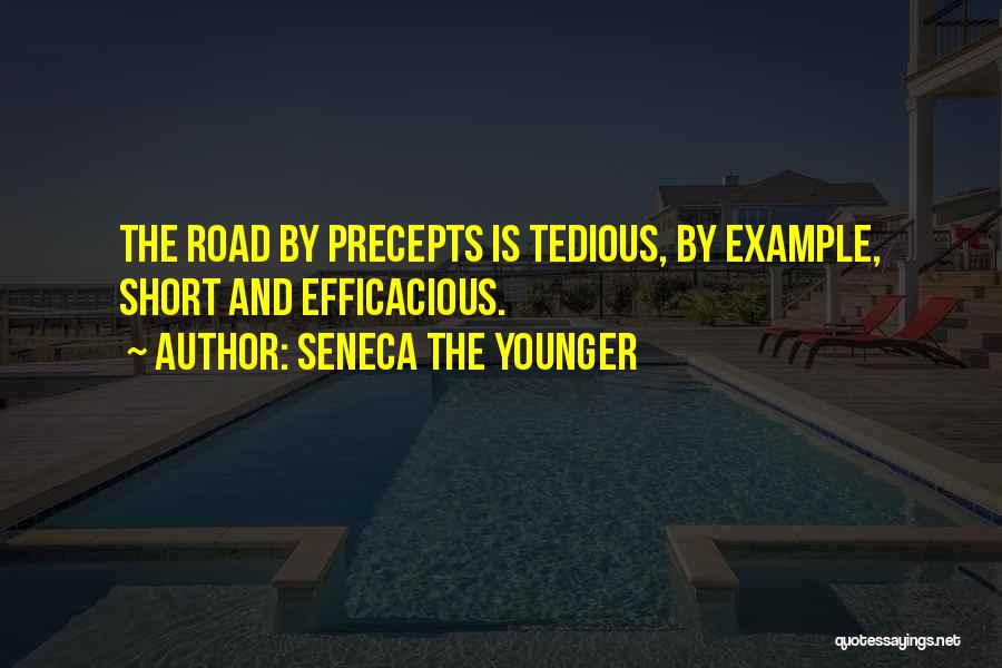 Precepts Quotes By Seneca The Younger