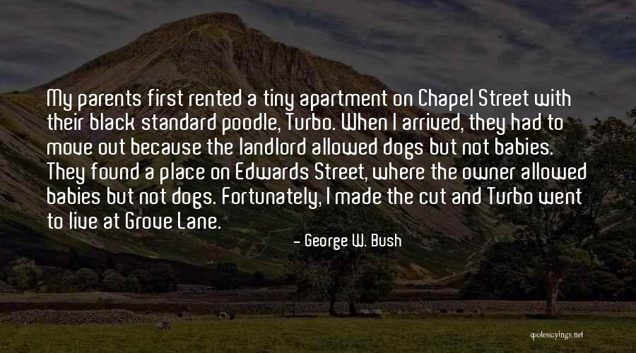 Preciosa Ornela Quotes By George W. Bush Preciosa Ornela Quotes By George W. Bush