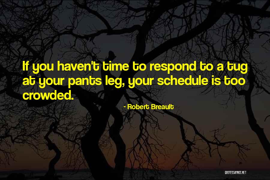 Preciosity In A Sentence Quotes By Robert Breault Preciosity In A Sentence Quotes By Robert Breault
