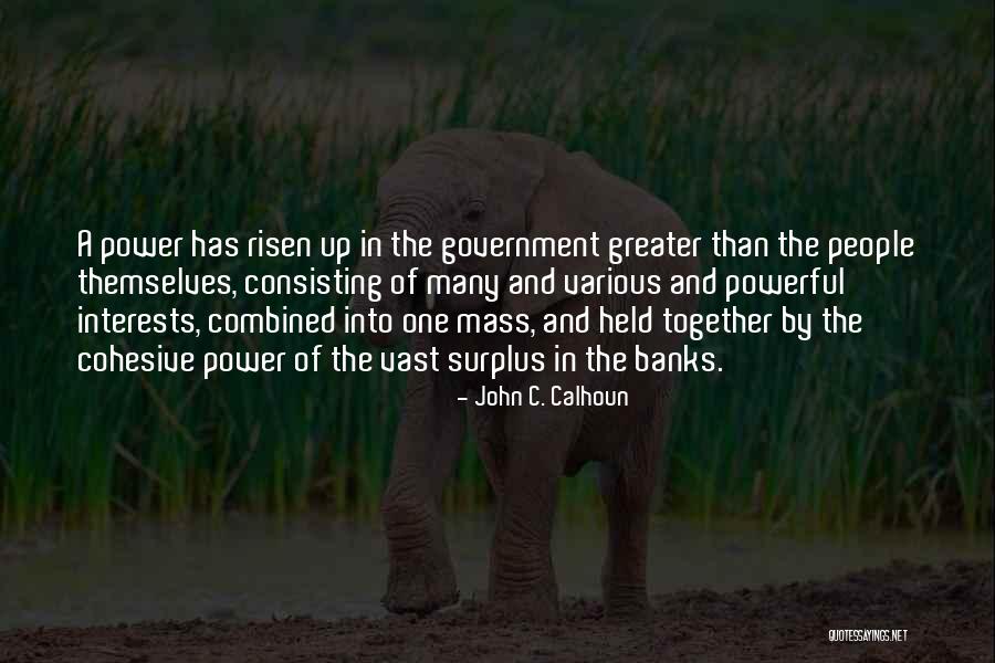 Preciosity Quotes By John C. Calhoun Preciosity Quotes By John C. Calhoun
