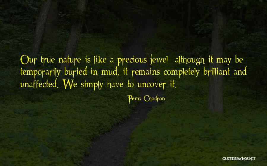 Precious Jewels Quotes By Pema Chodron