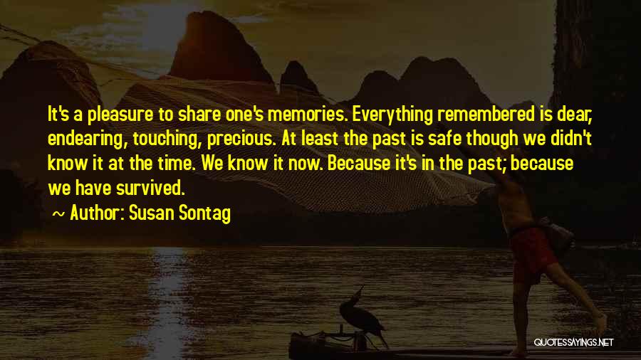 Precious Memories Quotes By Susan Sontag