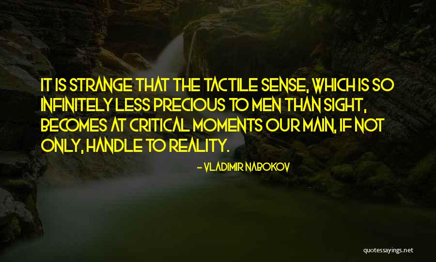 Precious Moments Quotes By Vladimir Nabokov