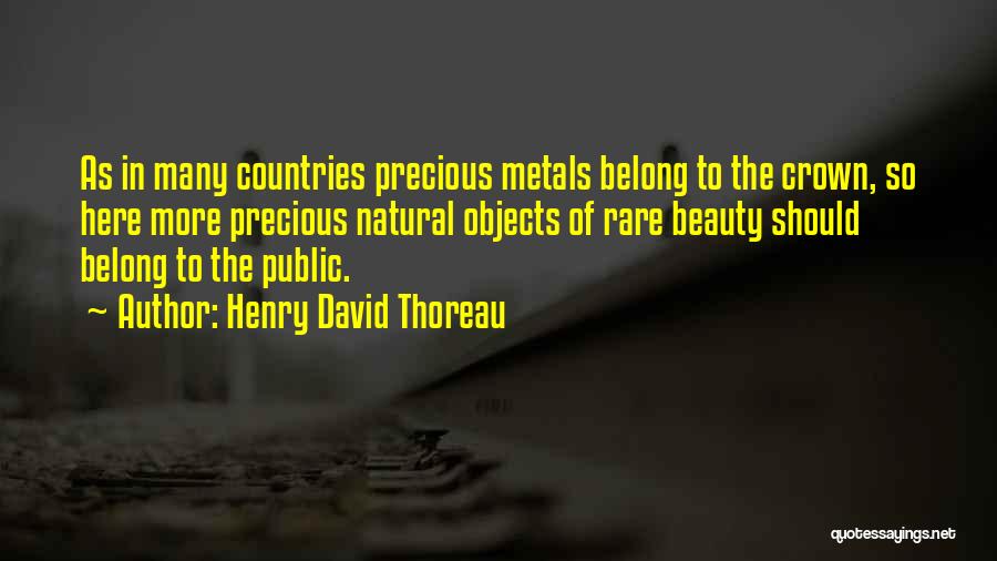 Precious Objects Quotes By Henry David Thoreau