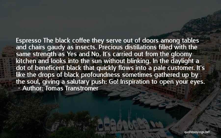 Precious Push Quotes By Tomas Transtromer