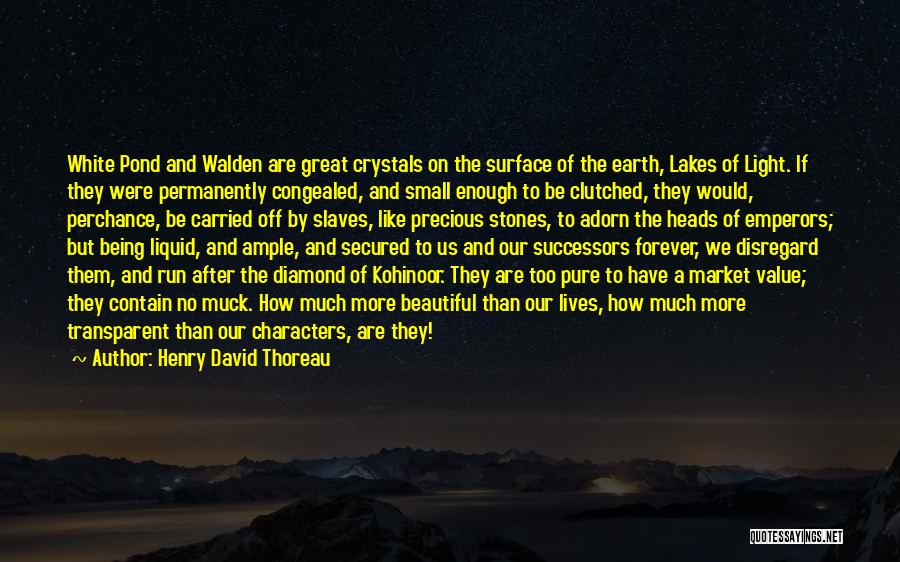 Precious Stones Quotes By Henry David Thoreau