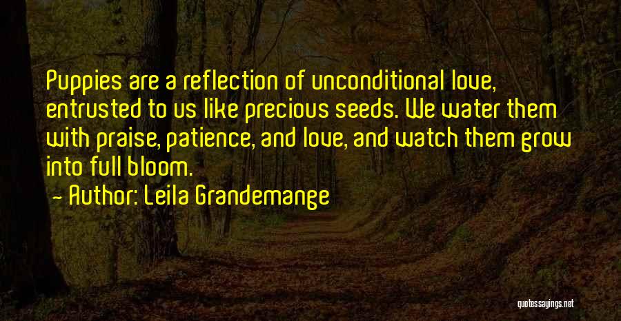 Precious Water Quotes By Leila Grandemange