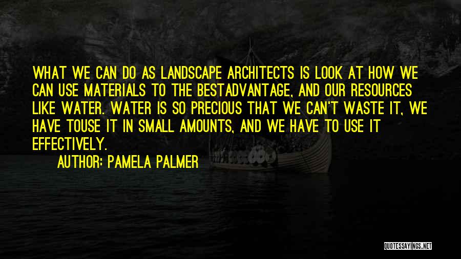 Precious Water Quotes By Pamela Palmer