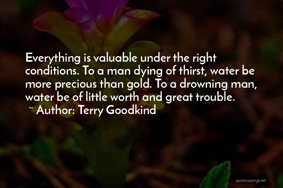 Precious Water Quotes By Terry Goodkind