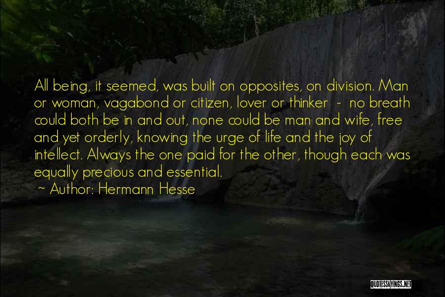Precious Woman Quotes By Hermann Hesse