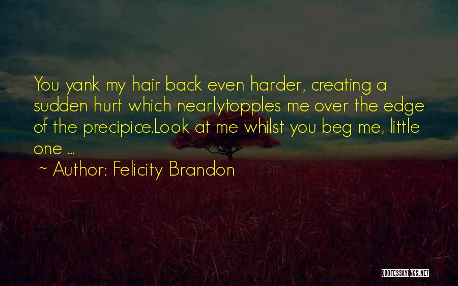 Precipice Quotes By Felicity Brandon