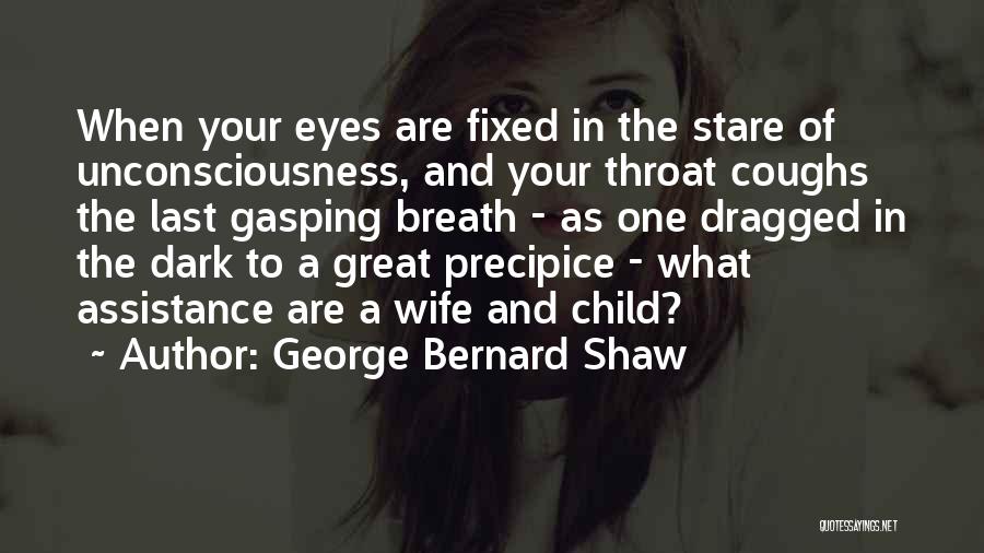 Precipice Quotes By George Bernard Shaw