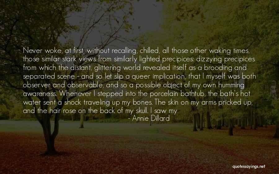 Precipices Quotes By Annie Dillard Precipices Quotes By Annie Dillard