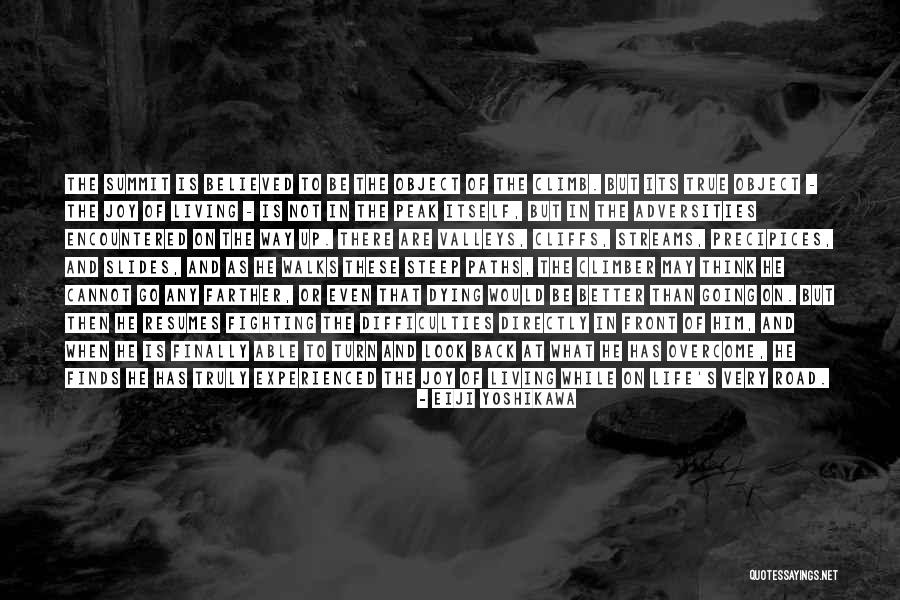 Precipices Quotes By Eiji Yoshikawa Precipices Quotes By Eiji Yoshikawa