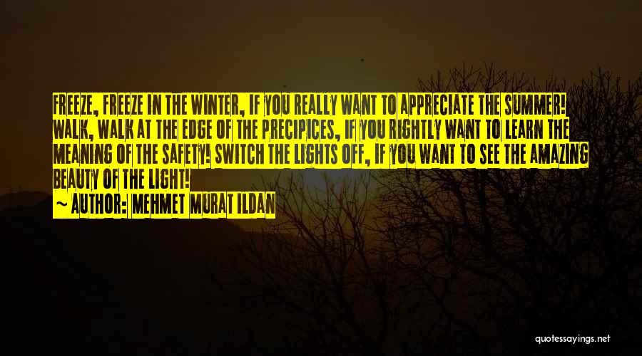 Precipices Quotes By Mehmet Murat Ildan