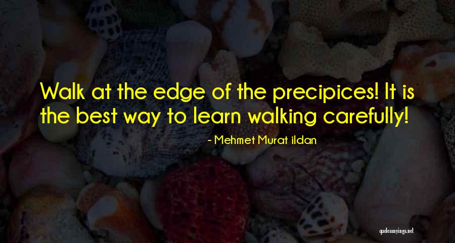 Precipices Quotes By Mehmet Murat Ildan