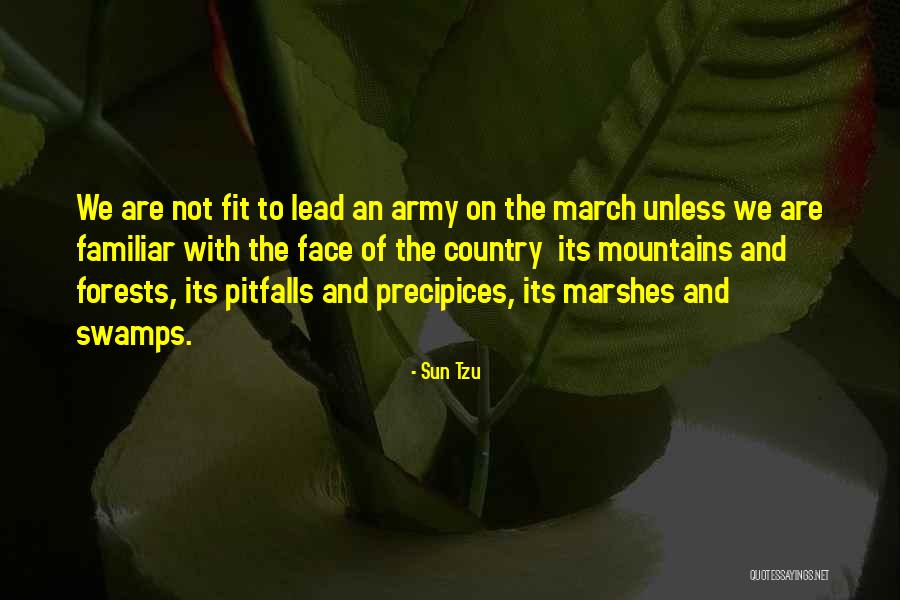 Precipices Quotes By Sun Tzu