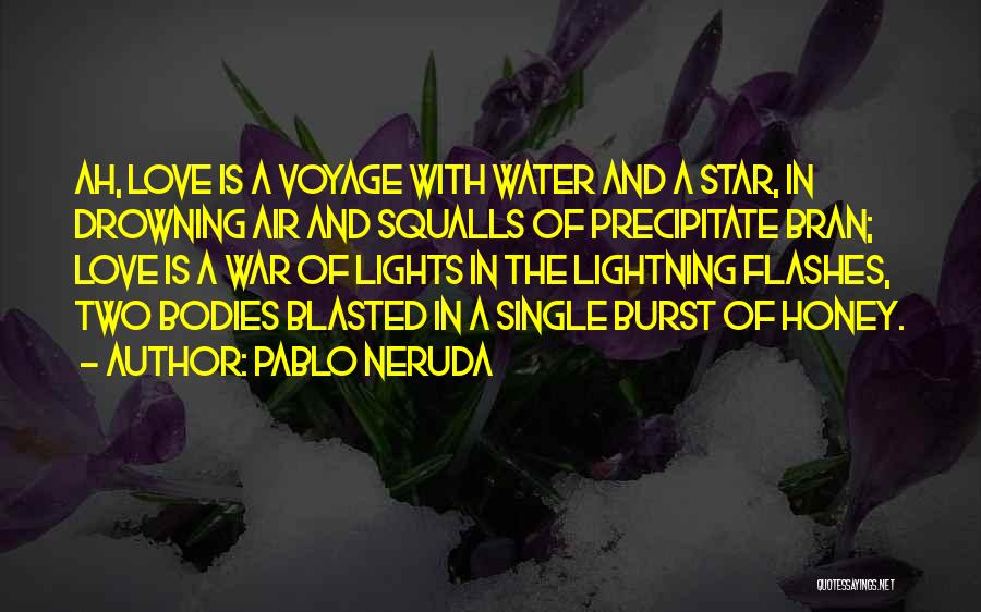 Precipitate Quotes By Pablo Neruda