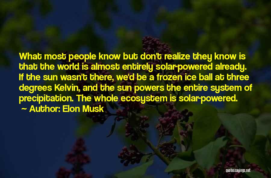 Precipitation Quotes By Elon Musk