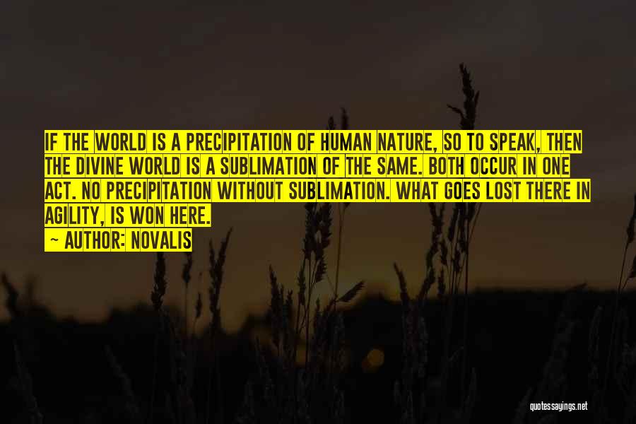 Precipitation Quotes By Novalis