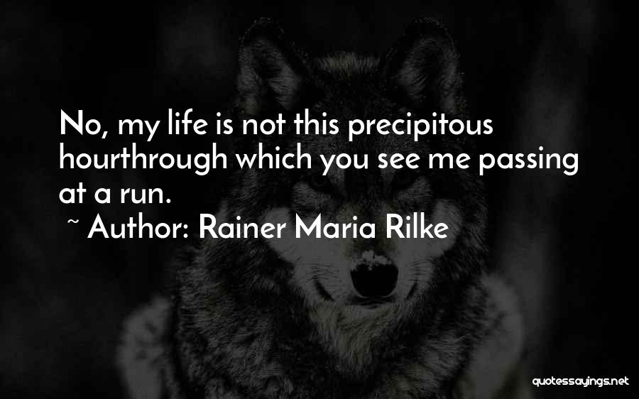 Precipitous Quotes By Rainer Maria Rilke